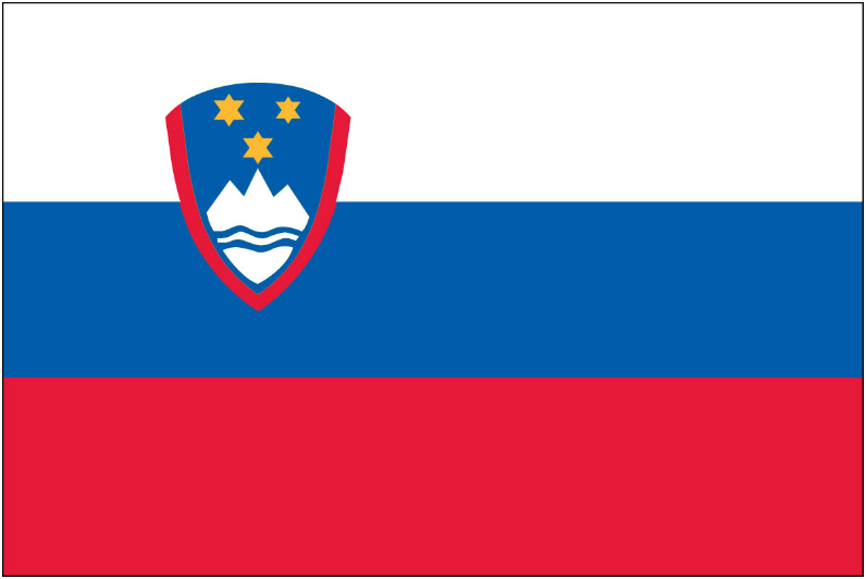 Slovenian Flag